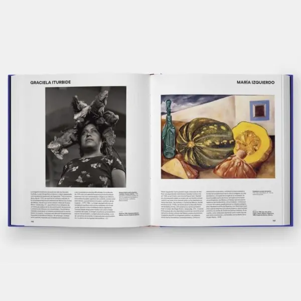 Arte*Phaidon Artistas Latinoamericanos. Desde 1785 hasta hoy