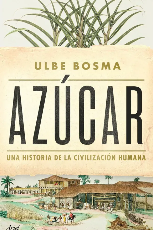 Historia*Ariel Azúcar
