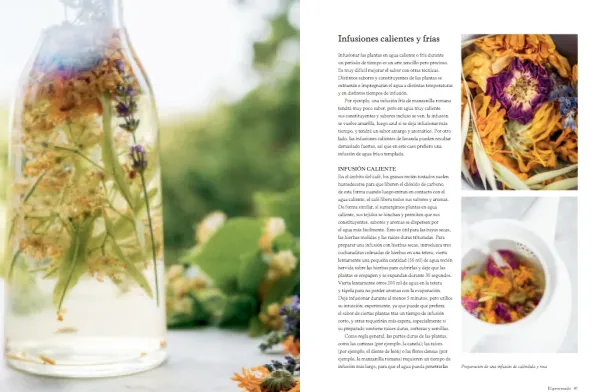 Dietas Especiales*Blume Bebidas botánicas