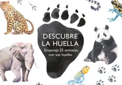 Actividades Y Puzzles*MTM Descubre la huella