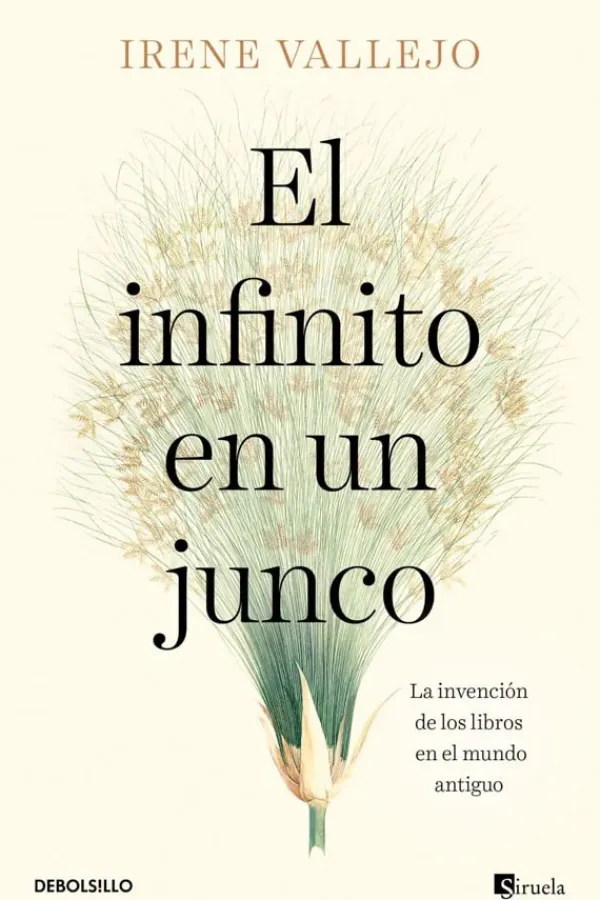 Historia*Debols!llo El infinito de un junco