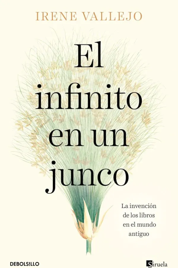 Historia*Debols!llo El infinito en un junco