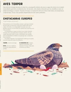 Animales Y Naturaleza*Contrapunto Enciclopedia de animales