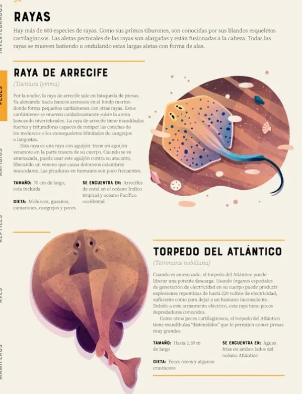 Animales Y Naturaleza*Contrapunto Enciclopedia de animales