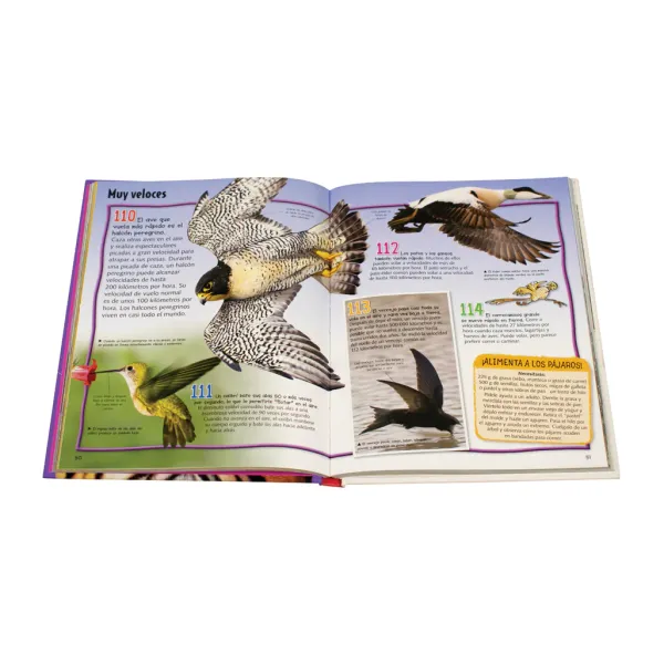 Animales Y Naturaleza*Silver Dolphin Enciclopedia junior de los animales