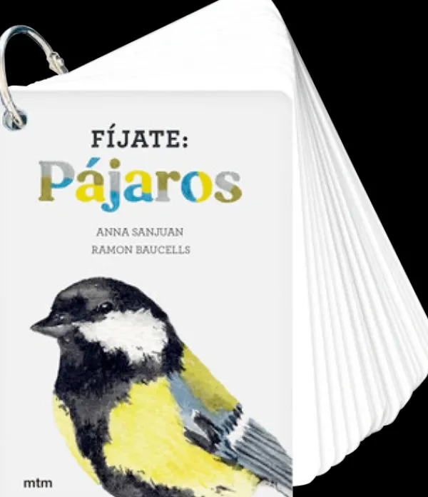 Animales*MTM Fíjate: pájaros