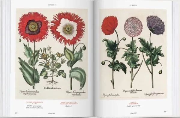Ilustración Y Comics*Taschen Florilegium. The Book of Plants. Biblioteca Universal
