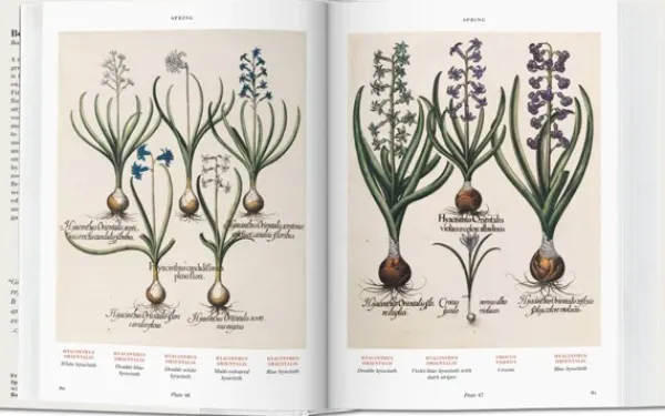 Ilustración Y Comics*Taschen Florilegium. The Book of Plants. Biblioteca Universal