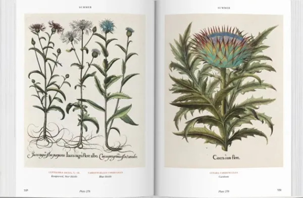 Ilustración Y Comics*Taschen Florilegium. The Book of Plants. Biblioteca Universal