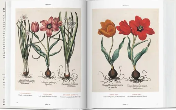 Ilustración Y Comics*Taschen Florilegium. The Book of Plants. Biblioteca Universal