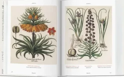 Ilustración Y Comics*Taschen Florilegium. The Book of Plants. Biblioteca Universal