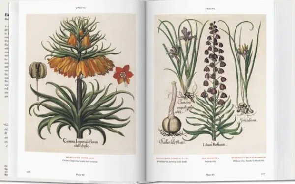 Ilustración Y Comics*Taschen Florilegium. The Book of Plants. Biblioteca Universal