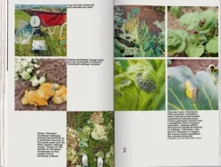 Casas Y Edificios*Taschen Koolhaas. Countryside. A Report