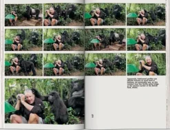 Casas Y Edificios*Taschen Koolhaas. Countryside. A Report