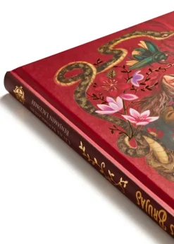 Álbum Ilustrado*Edelvives Las brujas