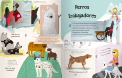 Animales Y Naturaleza*Contrapunto Locos por los perros
