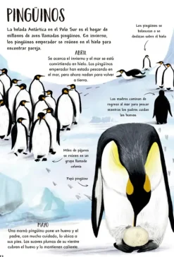 Animales Y Naturaleza*Contrapunto Mi primer libro de la naturaleza