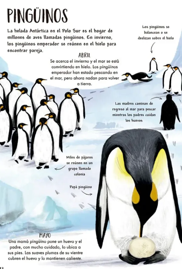Animales Y Naturaleza*Contrapunto Mi primer libro de la naturaleza