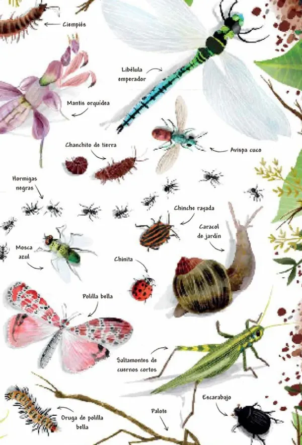 Animales Y Naturaleza*Contrapunto Mi primer libro de la naturaleza