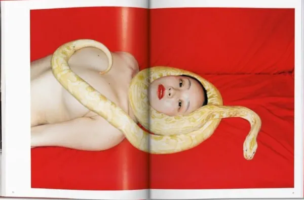 Fotografía*Taschen Ren Hang