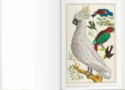 Arte*Taschen Seba. Cabinet of Natural Curiosities