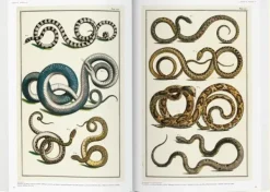 Arte*Taschen Seba. Cabinet of Natural Curiosities