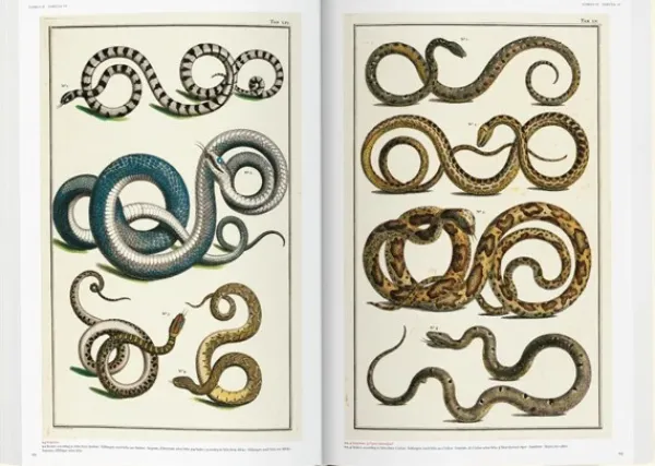 Arte*Taschen Seba. Cabinet of Natural Curiosities