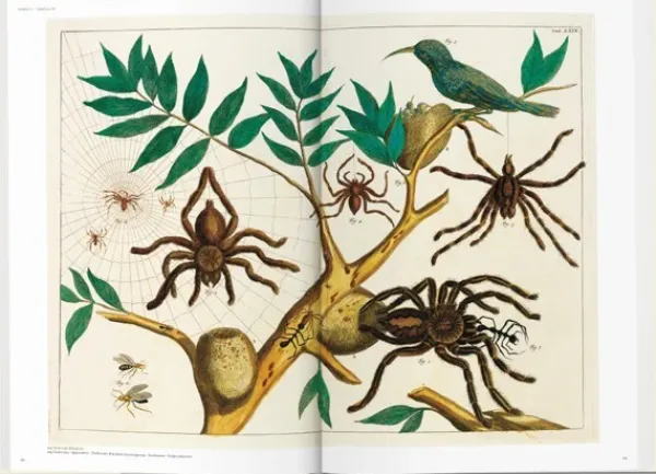 Arte*Taschen Seba. Cabinet of Natural Curiosities