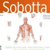 Ciencias De La Salud*Elsevier Sobotta. Tablas de músculos, articulaciones y nervios 4ª Ed.