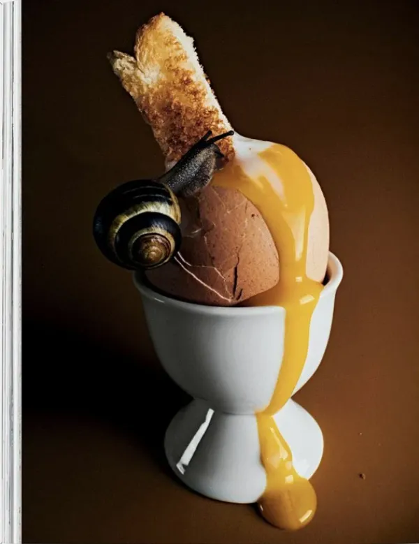 Recetas Y Técnicas Culinarias*Taschen The Gourmand. El huevo. Historias y recetas