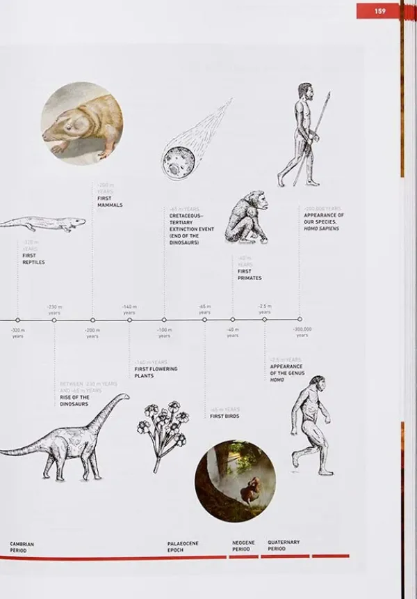 Cocinas Del Mundo*Phaidon The Origins Of Cooking: Paleolithic And Neolithic Cooking