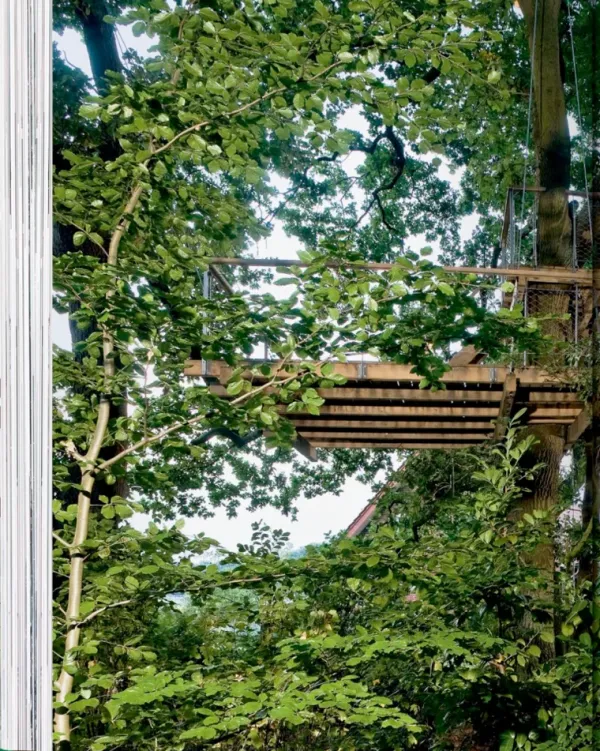 Casas Y Edificios*Taschen Tree Houses. 40th Ed.