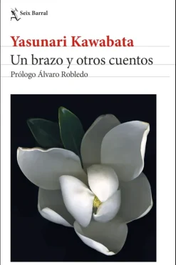 Literatura Contemporánea*Seix Barral Un brazo y otros cuentos [Edición 2024]
