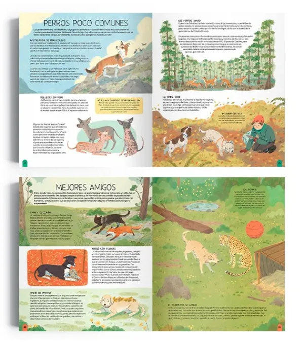 Animales Y Naturaleza*Contrapunto Un mundo de perros