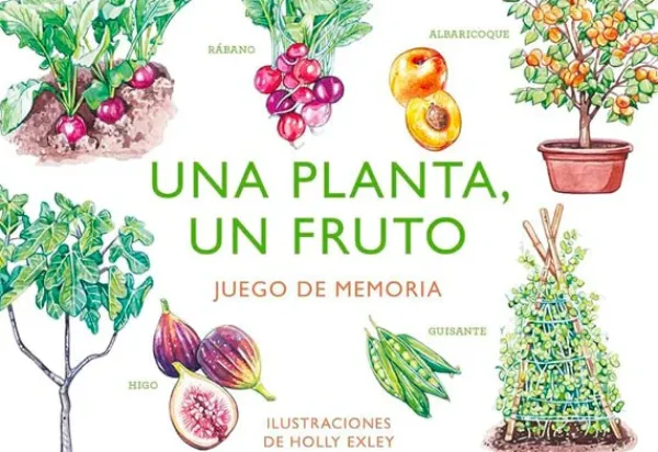 Pasatiempos*MTM Una planta, un fruto. Juego de memoria