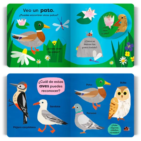 Primera Infancia*Contrapunto Veo un pato