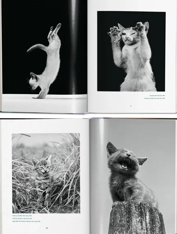 Fotografía*Taschen Walter Chandoha. Cats. Photographs 1942-2018