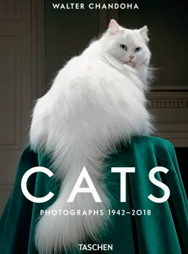 Fotografía*Taschen Walter Chandoha. Cats. Photographs 1942-2018