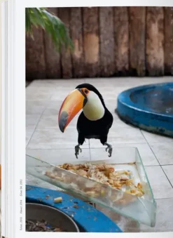 Fotografía*Taschen Wolfgang Tillmans. four books. 40th Ed.