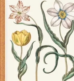 Arboles Y Plantas*Taschen Basilius Besler. The Garden at Eichstätt. 3 Vol.