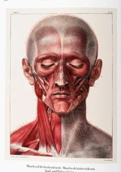 Taschen*Taschen Bourgery. Atlas de anatomía humana y cirugía. Biblioteca Universal