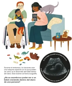 Cuerpo Y Mente*Contrapunto ¿Cómo se hacen los bebés?