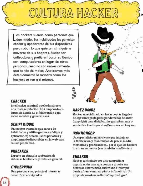 Ciencias*Contrapunto ¿Cuál es el problema? Hackers