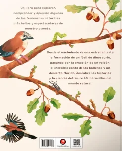 Animales Y Naturaleza*Contrapunto De Bellota a Roble