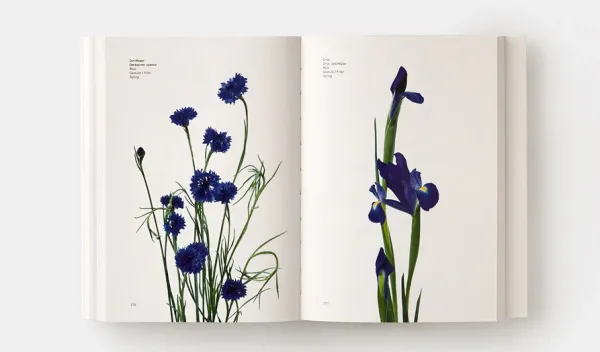 Color*Phaidon Guía comercial floral