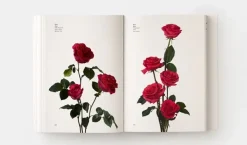 Color*Phaidon Guía comercial floral