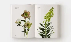 Color*Phaidon Guía comercial floral
