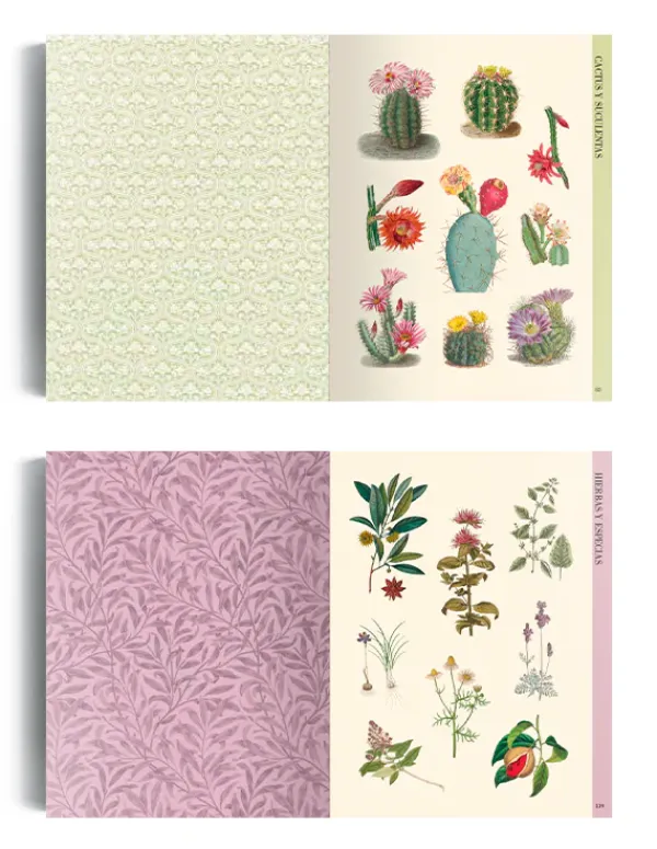 Papel*Contrapunto Ilustración botánica para recortar y hacer collage