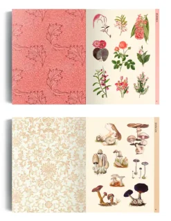 Papel*Contrapunto Ilustración botánica para recortar y hacer collage