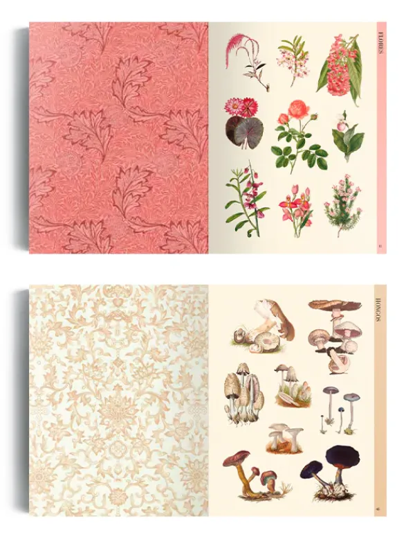 Papel*Contrapunto Ilustración botánica para recortar y hacer collage